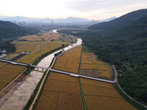 一河两岸城市绿道