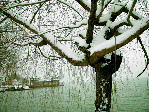 雪后小景