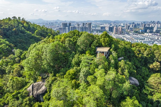 深圳大雁山森林公园