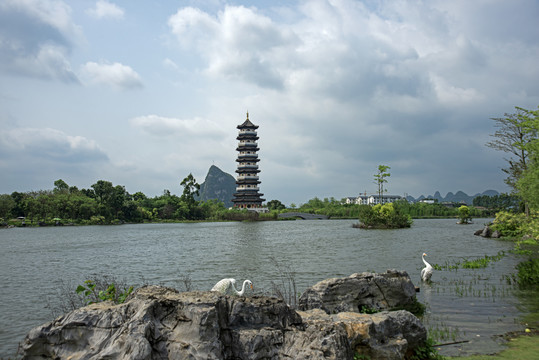 柳州柳江区岜公塘湿地公园风光