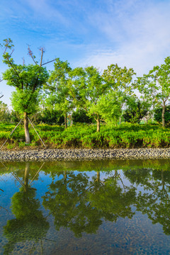 水池水景