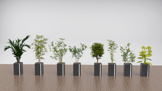 綠植效果圖