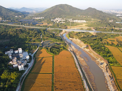 河道治理