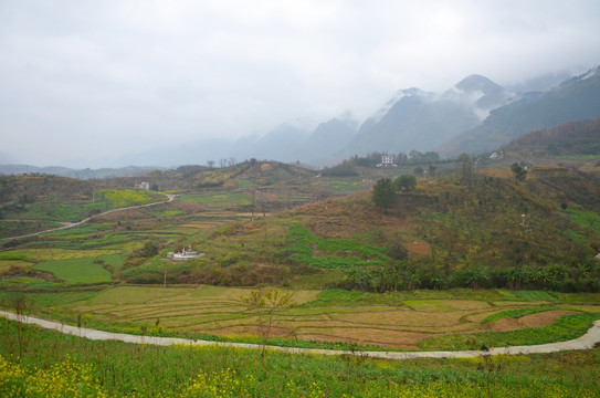 山区乡村道路