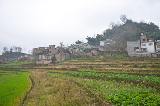 山区农村