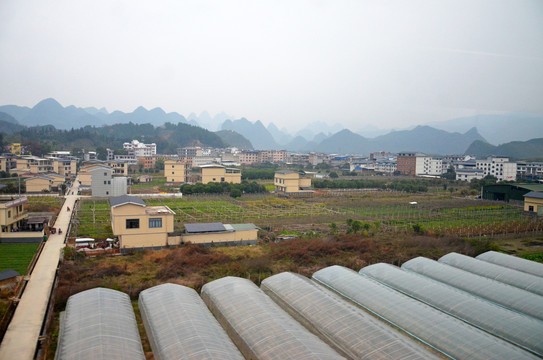 广西农村大棚种植