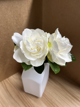 栀子花花卉白色花系列