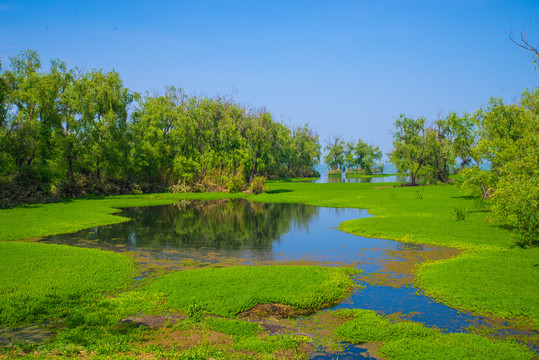 滇池湿地