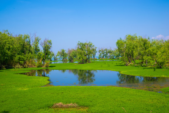 滇池湿地