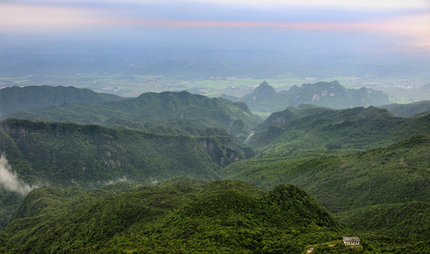 大山植被