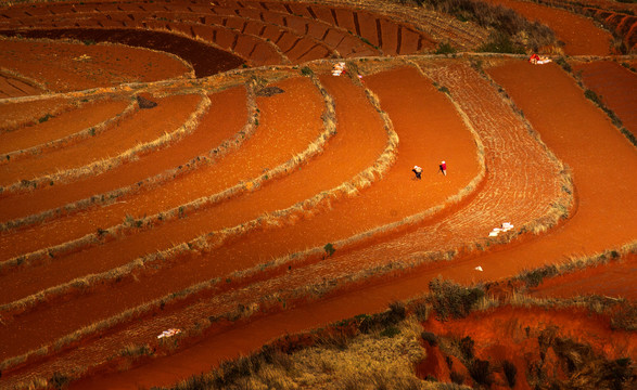 云南昆明东川红土地