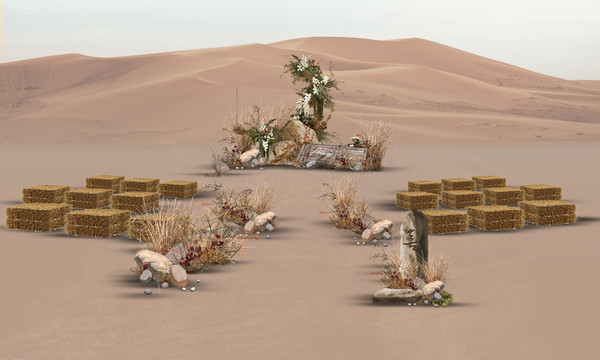 沙漠婚礼效果图