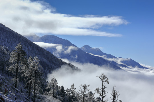 雅家埂蓝天白云雪山自然风光