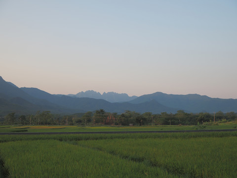 霸王岭稻田