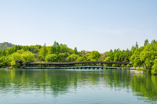 浴鹄湾