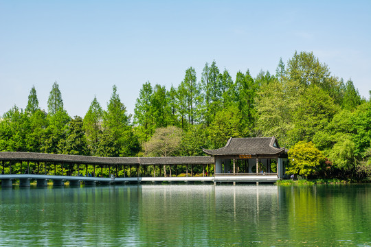 西湖浴鹄湾