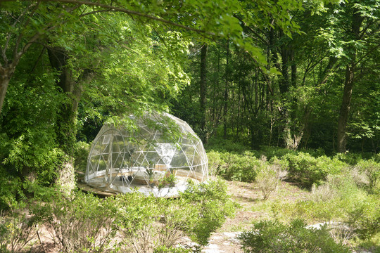 森林中的透明小屋