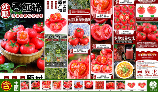 西紅柿詳情