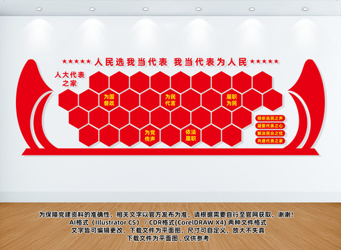 人大代表風(fēng)采