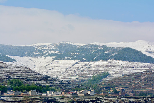 春山雪霁