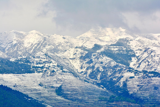 春山雪霁