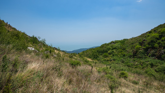 大青山