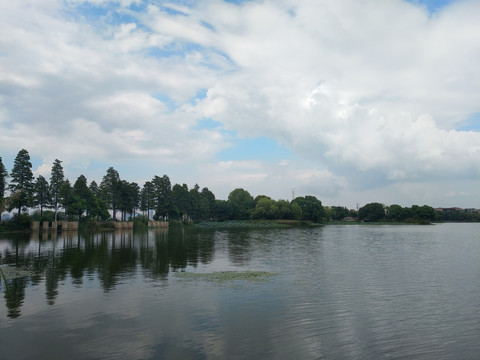 东湖湖景系列