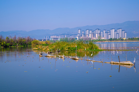 湖泊小岛