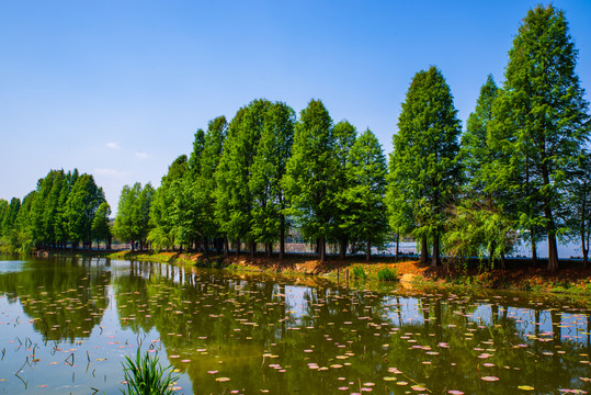 昆明庾家花园