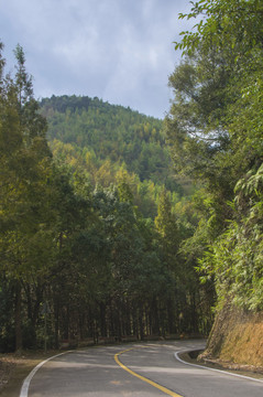 南靖旅游公路山岭风光