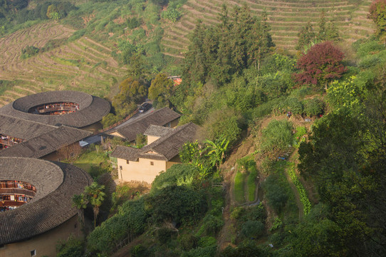 山村土楼菜地