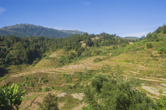 大山梯田山岭风光