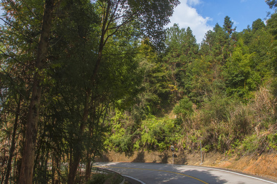 山林道路风光