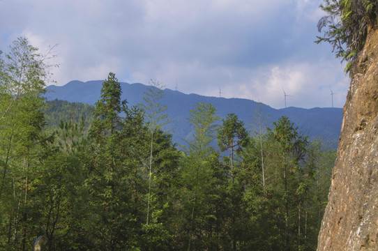 山与林