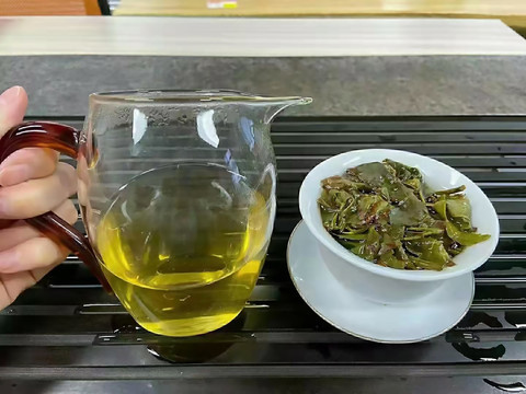 泡茶喝茶绿茶