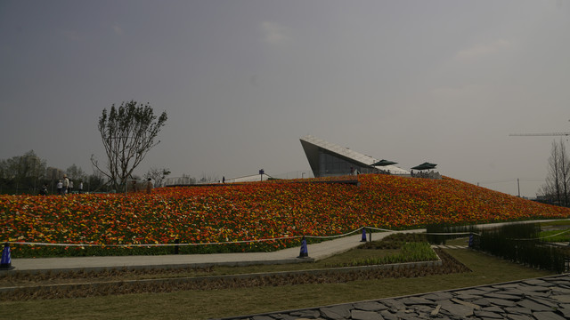 花海