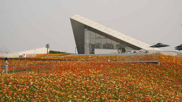 花海