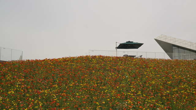 花海