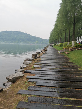 东湖湖景系列