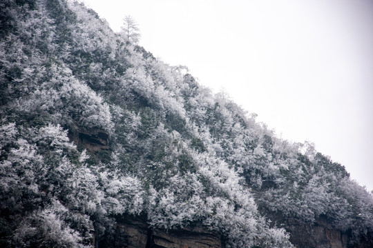 山区雪景