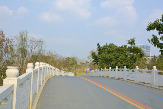 成都东安湖公园琴台桥
