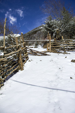 冬天雪乡积雪村庄