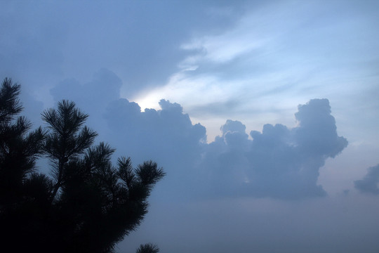 夕阳庐山风景松林剪影