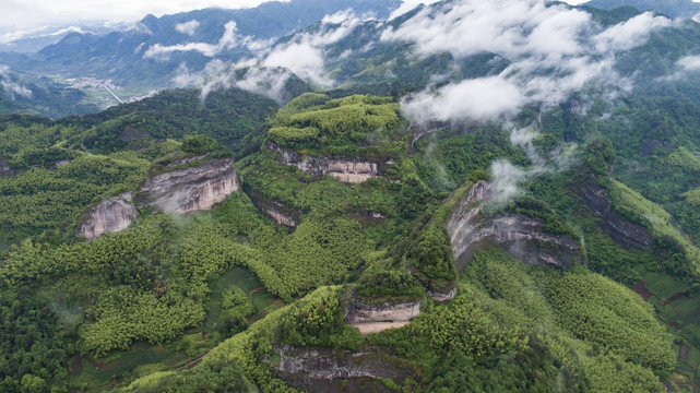 高山云雾