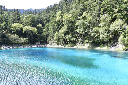 高山海子