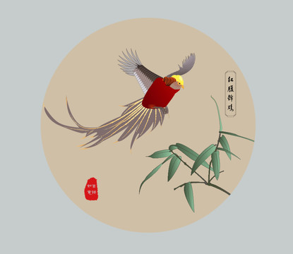 紅腹錦雞矢量插畫
