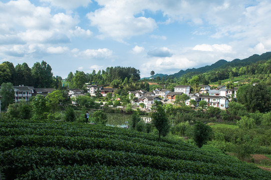 美丽新农村乡村振兴青山绿水