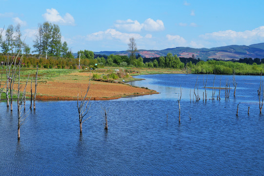 念湖湖景