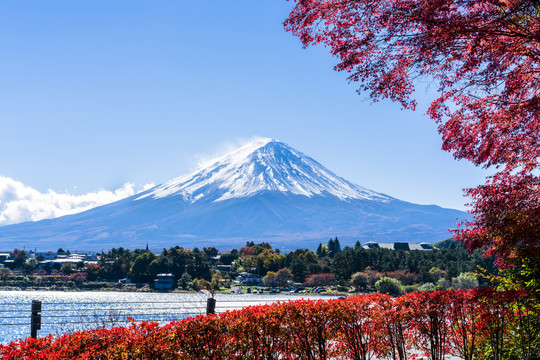 富士山