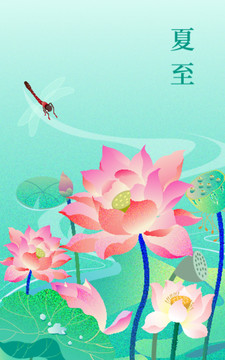 夏天荷花插畫